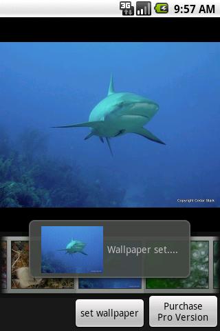 Under the Sea Free Android Personalization