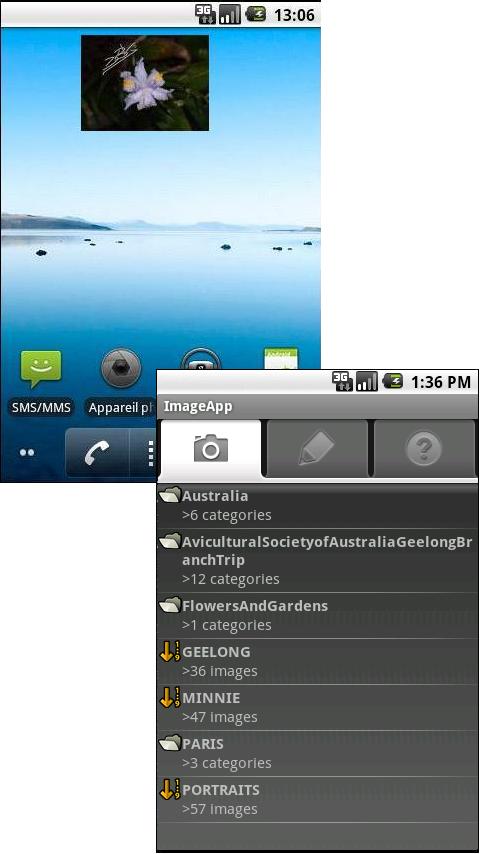 Piwigo browser & image widget. Android Themes