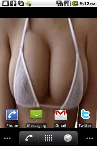Boobies Bounce Live Wallpaper Android Themes