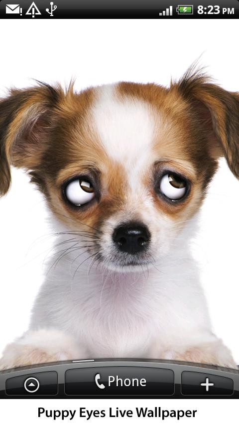 Eye-Puppy Live Wallpaper Android Themes