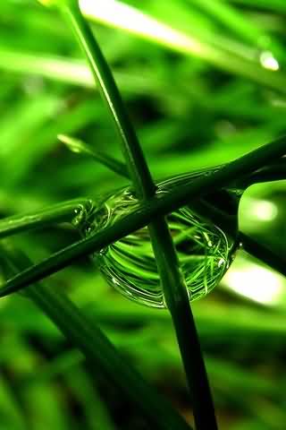 3D Nature Wallpaper Android Themes