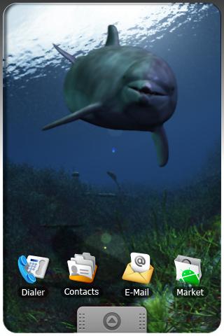 DOLPHINS  live wallpaper  . Android Themes