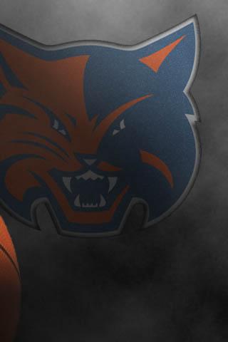 Charlotte Bobcats ADW.Theme Android Themes