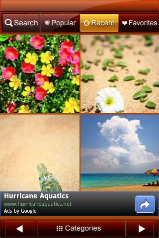 Summer Wallpaper Android Themes