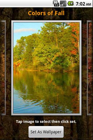 Colors Of Fall Wallpaper Android Themes
