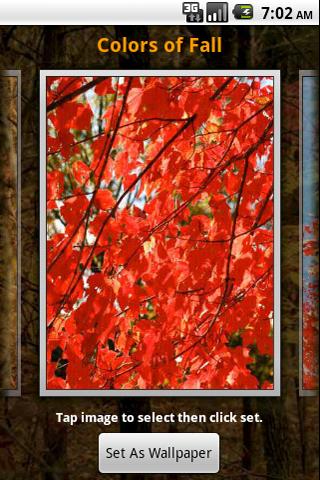 Colors Of Fall Wallpaper Android Themes
