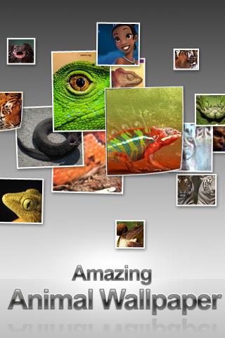 Animal Wallpaper 640 Android Themes