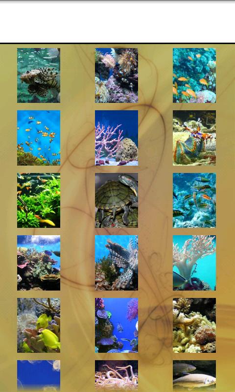 Aquarium Wallpaper Android Photography