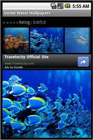 Under Water Wallpapers Android Themes