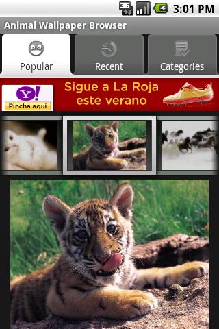 Animal Wallpaper Browser Android Personalization