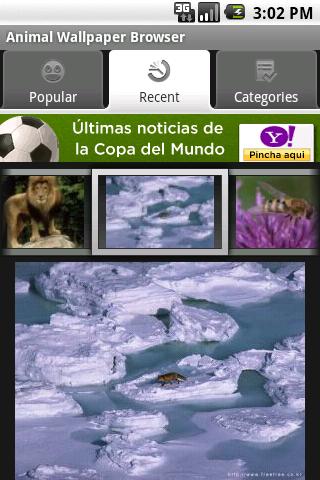 Animal Wallpaper Browser Android Personalization