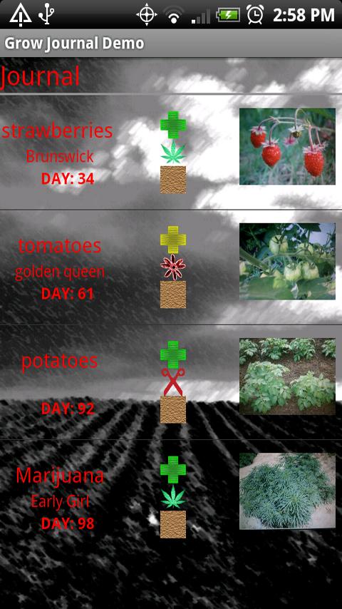 Grow Journal Demo Android Tools