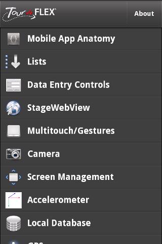 Tour de Mobile Flex Android Demo