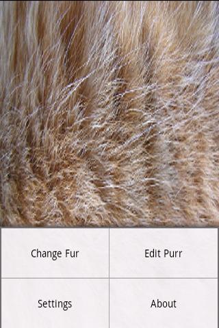 Fur Simulation