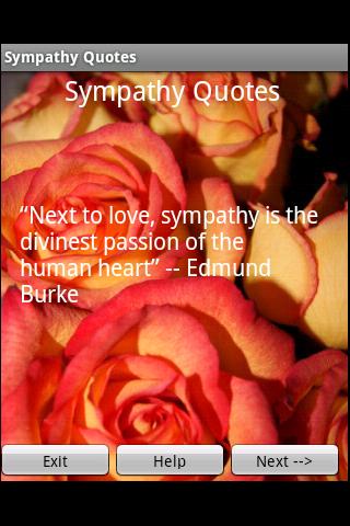 Sympathy Quotes