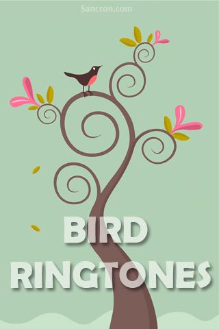Bird Sound Ringtones Android Personalization
