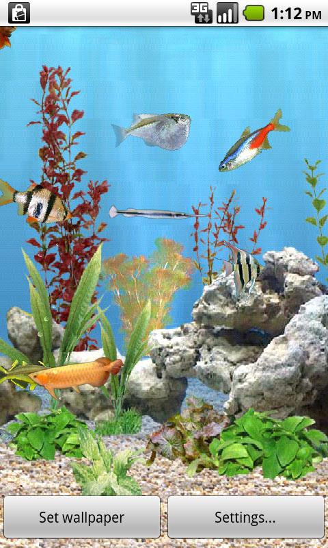 aniPet Freshwater Live W.P.