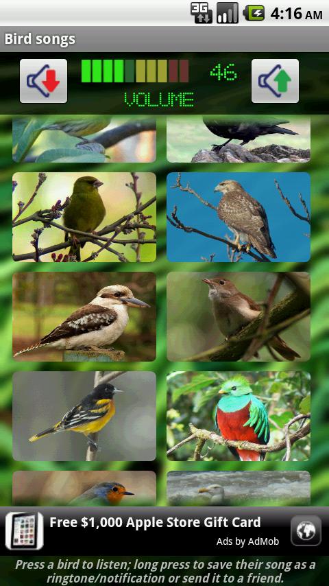 Bird Songs Android Multimedia