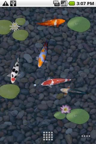 aniPet Koi Live Wallpaper Android Themes