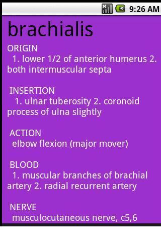 Muscles Of The Human Body Android Health