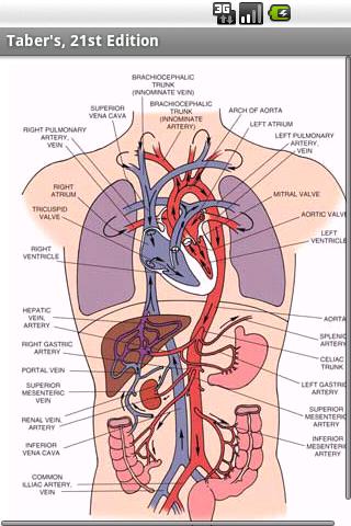 Taber’s Medical Dictionary Android Medical