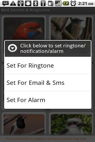 Bird Sounds & Ringtones Android Entertainment