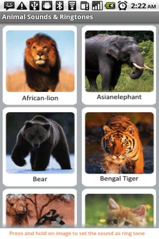 Animal Sounds & Ringtones Android Entertainment