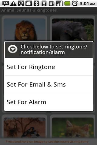 Animal Sounds & Ringtones Android Entertainment