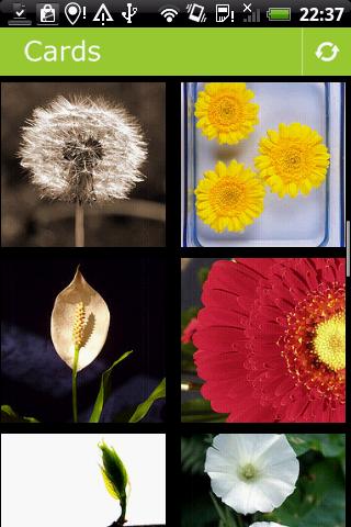 Flowers postcards Android Entertainment