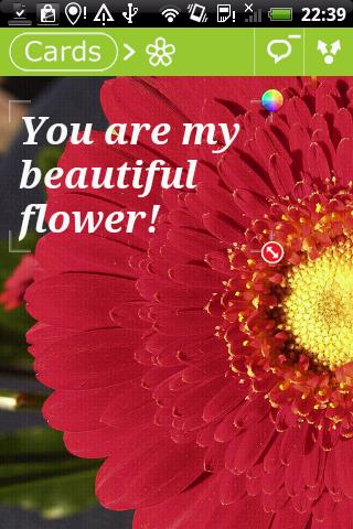 Flowers postcards Android Entertainment