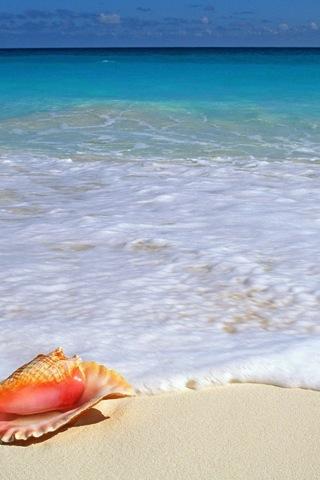 Beach and Coast Wallpapers Android Personalization