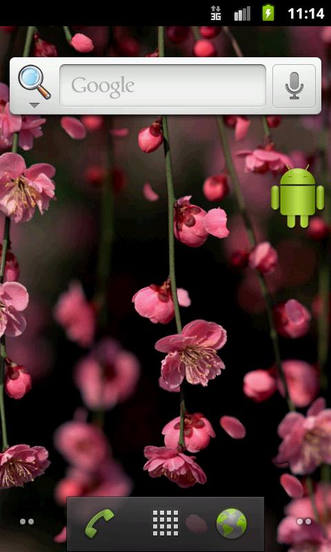 Plum Blossoms Live Wallpaper