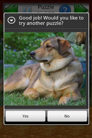 Perplex Puzzles – Dogs! Android Brain & Puzzle