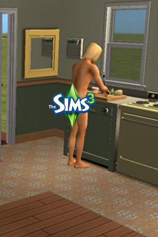 The Sims 3 Add-On Pixel Remove