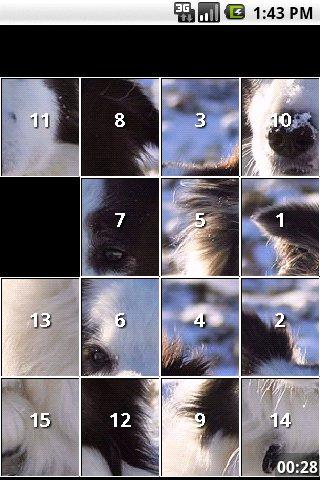 Border Collie Dog Puzzles Android Brain & Puzzle