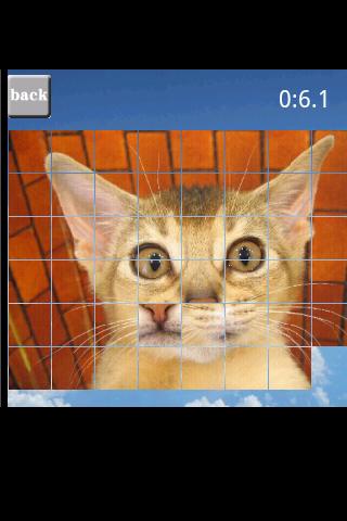 puzzle cat Android Brain & Puzzle