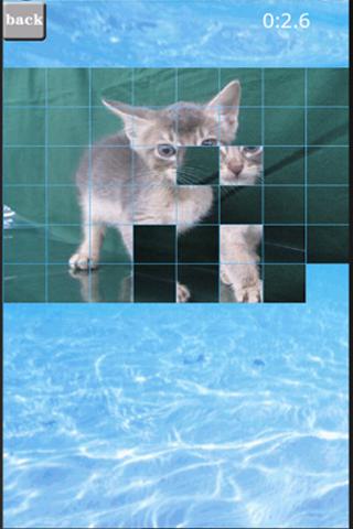 puzzle(cat) Android Brain & Puzzle
