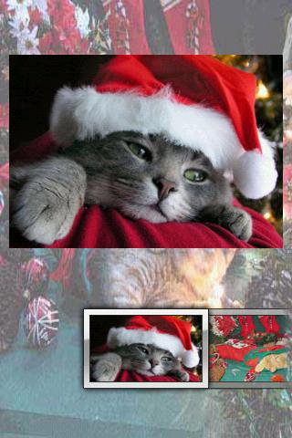 Christmas Cats Puzzle Android Brain & Puzzle