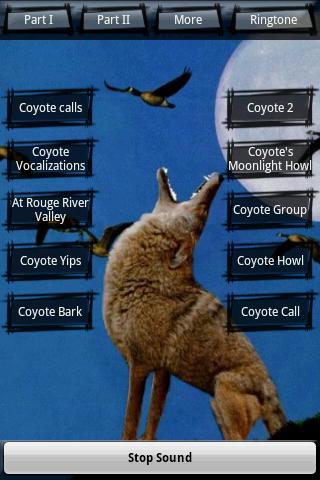Wild Coyote Soundboard Android Arcade & Action