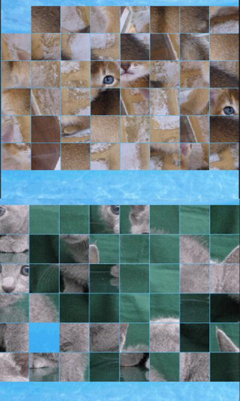 puzzle_cat Android Brain & Puzzle