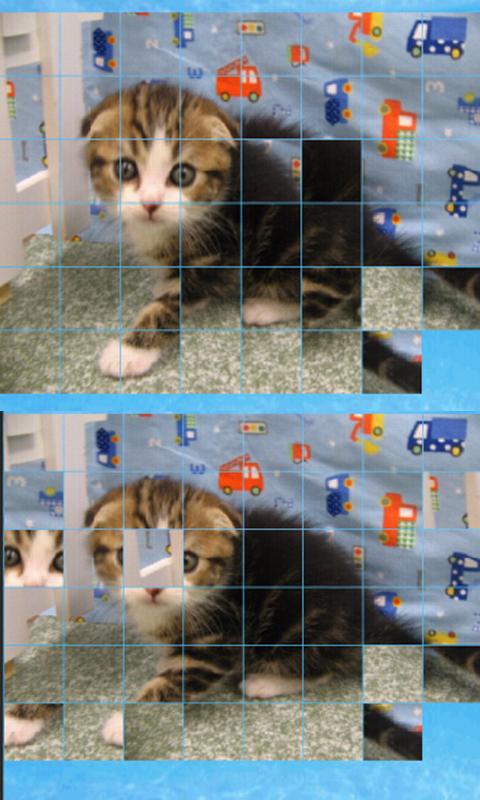 puzzle_cat Android Brain & Puzzle