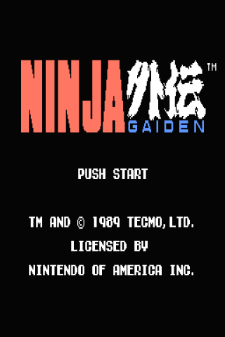 Ninja Gaiden USA