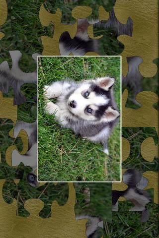 Puppies real jigsaw puzzles