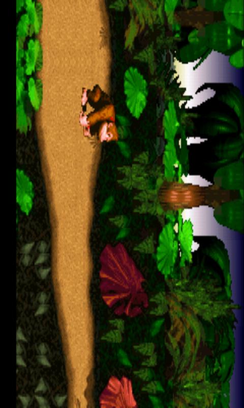 DonkeyKongCountry Android Arcade & Action