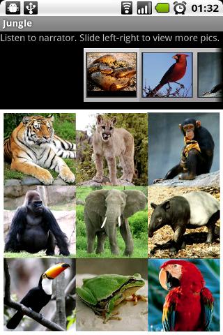 Animals Jungle Android Brain & Puzzle