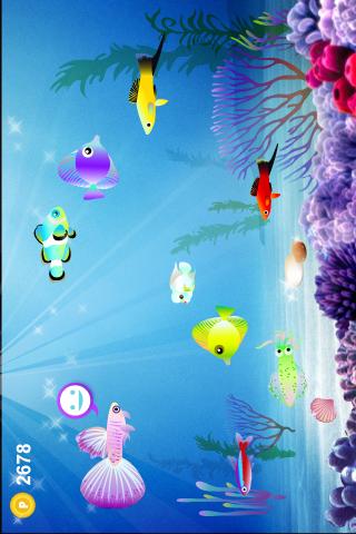 Papaya Fish Android Casual