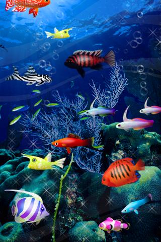 Papaya Fish 3D Android Casual