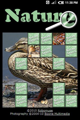 Nature Search Android Brain & Puzzle