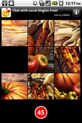 Thanksgiving Puzzles Lite