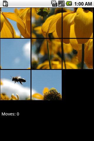 Picture Puzzler Android Brain & Puzzle